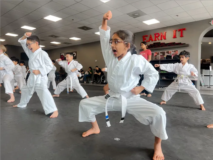 The Dojo - Vickery Village Picture 10