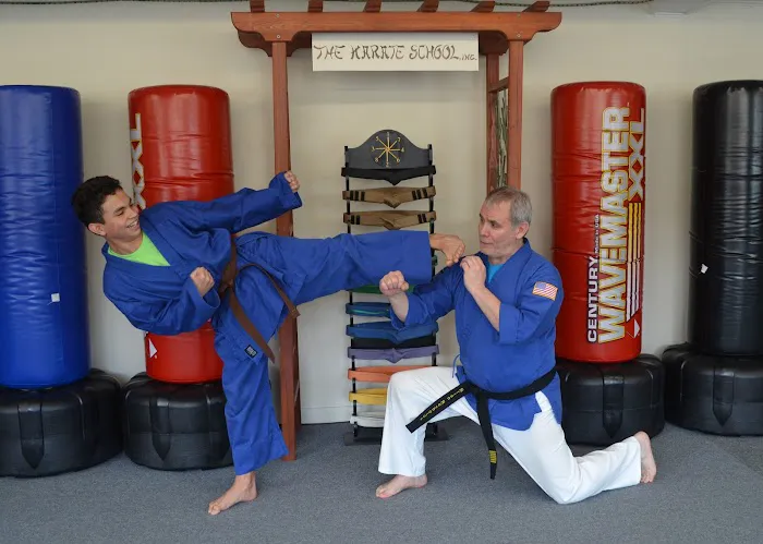 The Karate School, Inc. Picture 5