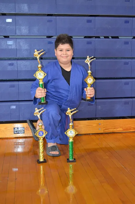 The Karate School, Inc. Picture 6