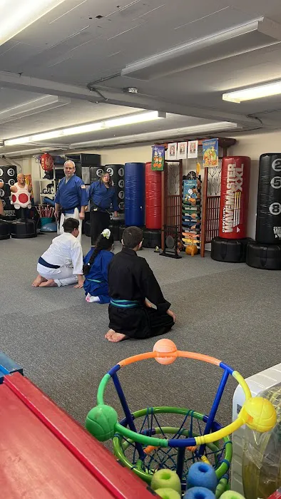 The Karate School, Inc. Picture 1