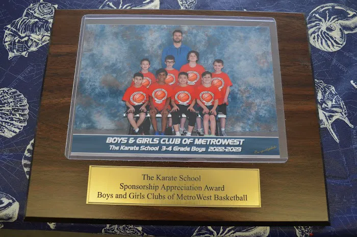 The Karate School, Inc. Picture 4