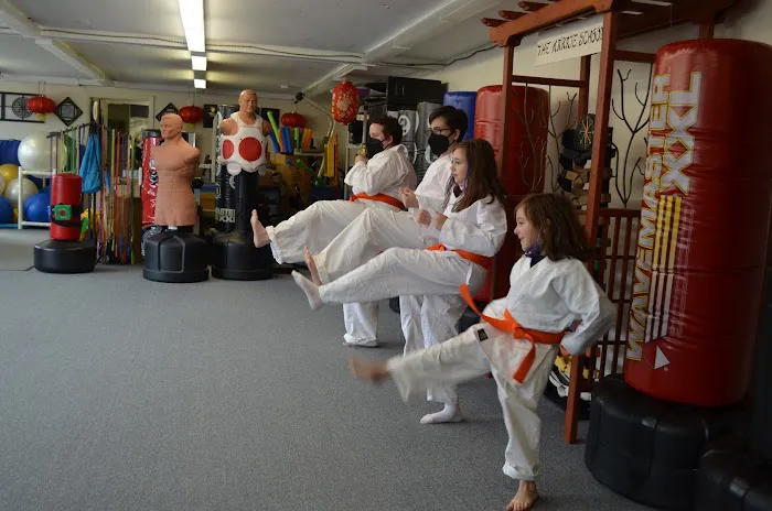 The Karate School, Inc. Picture 7