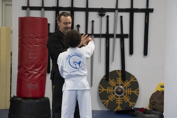 LUDUS Academy of Martial Arts Picture 1