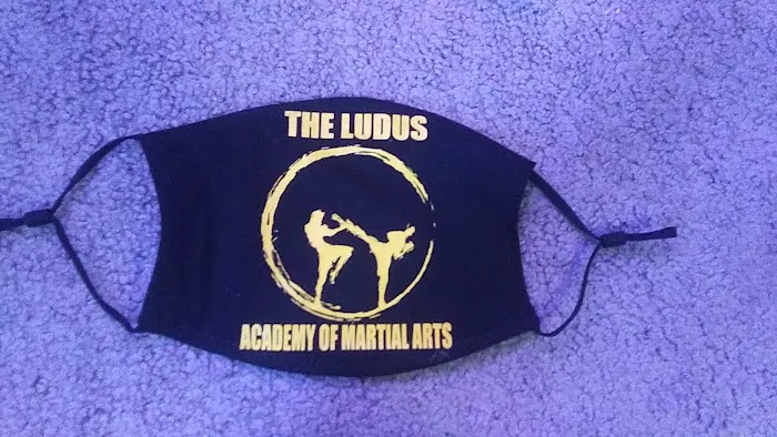 LUDUS Academy of Martial Arts Picture 2