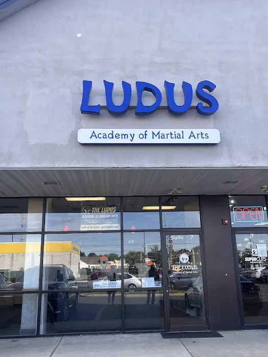 LUDUS Academy of Martial Arts Picture 10