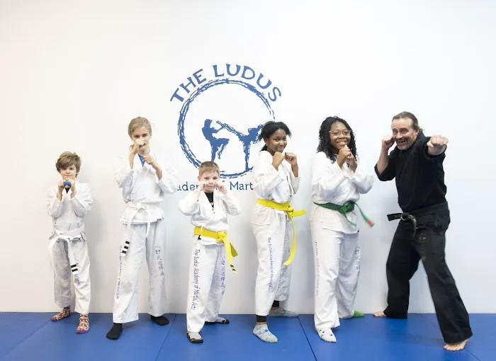 LUDUS Academy of Martial Arts Picture 9