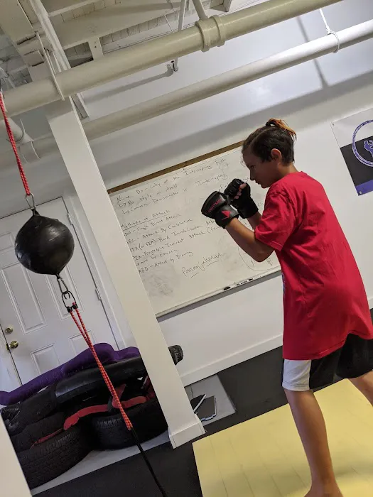 LUDUS Academy of Martial Arts Picture 6