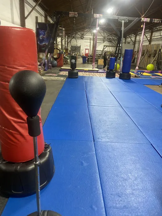 LUDUS Academy of Martial Arts Picture 4