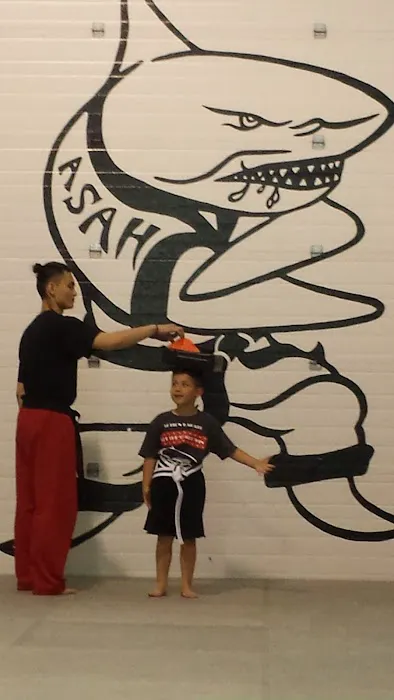 Kraus Karate Academy Picture 2