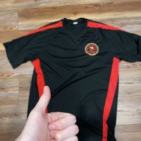 Traditional Wing Chun Kung Fu and Tai Chi Center ico