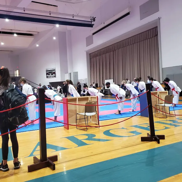EJ's Warrior Karate Academy Picture 4