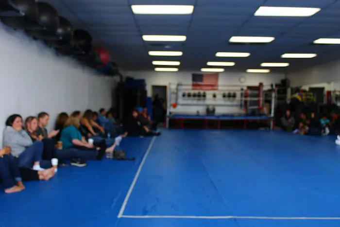 Martial Art Innovations Picture 1