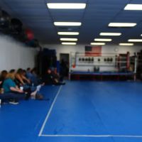 Martial Art Innovations ico