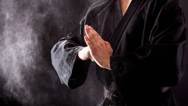 Martial Art Innovations Picture 8