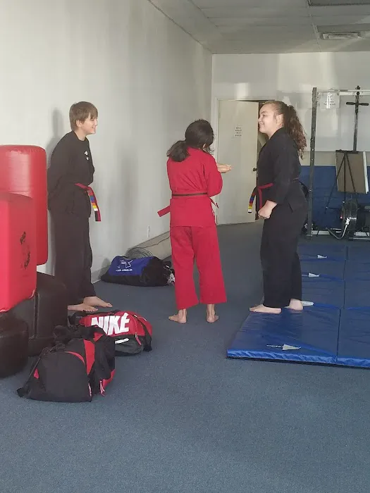 Martial Art Innovations Picture 3