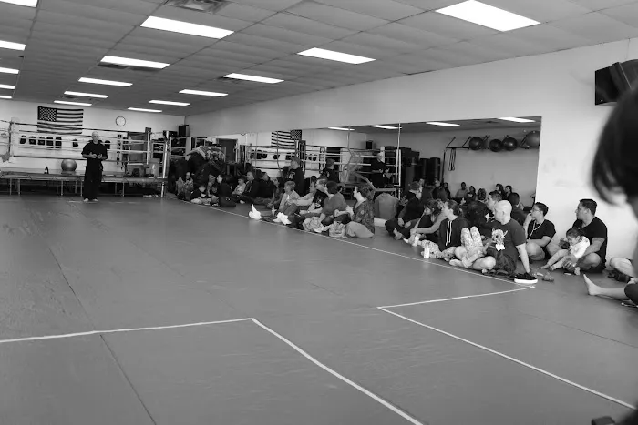Martial Art Innovations Picture 4
