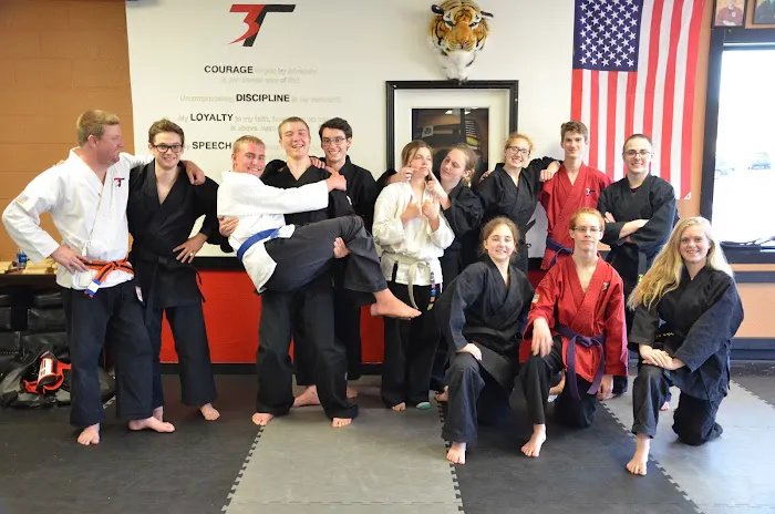 3T Martial Arts Picture 10