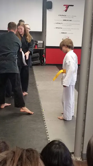 3T Martial Arts Picture 1