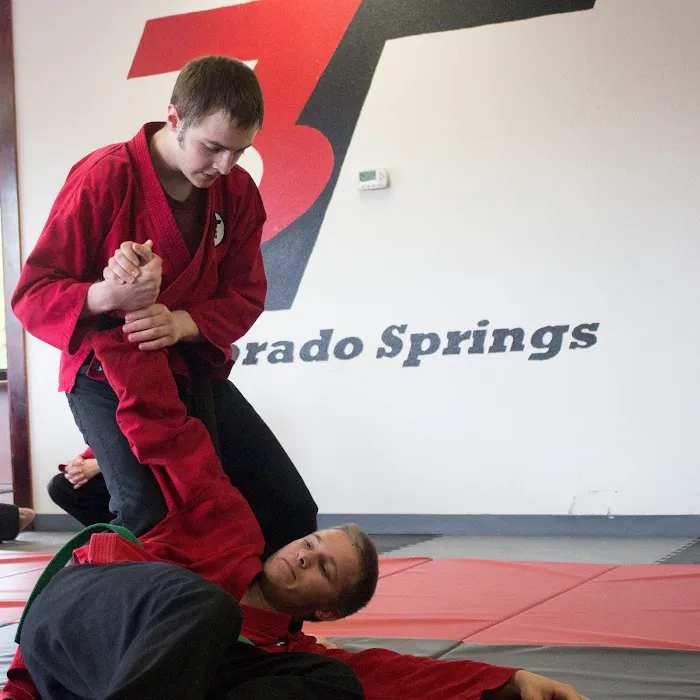 3T Martial Arts Picture 8