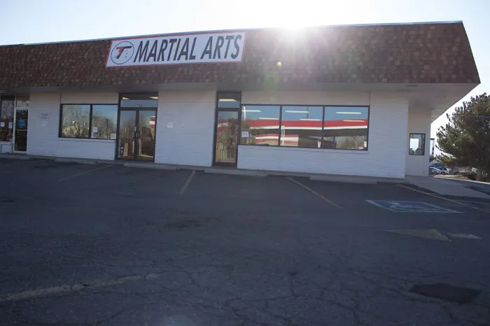 3T Martial Arts Picture 5