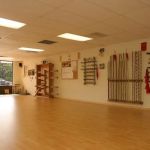 White Dragon Kung Fu & T'ai Chi