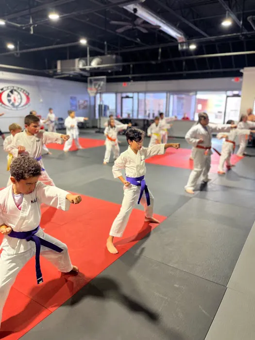Legend Martial Arts Sports Center Picture 6