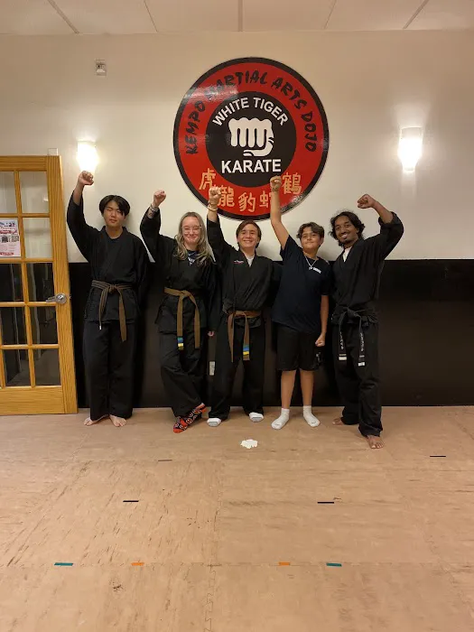 Kempo Karate Smithtown-Hauppauge Picture 5
