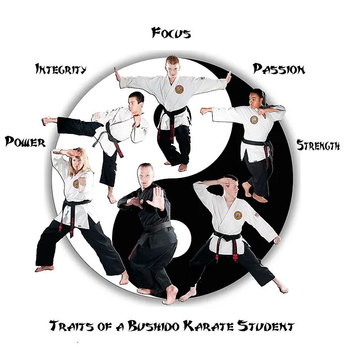 Bushido Karate Dojo Picture 5