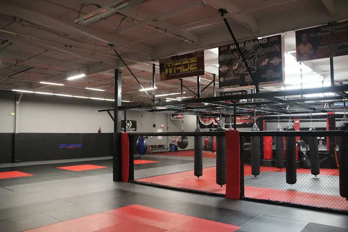 Long Island MMA and Fitness Center Picture 1