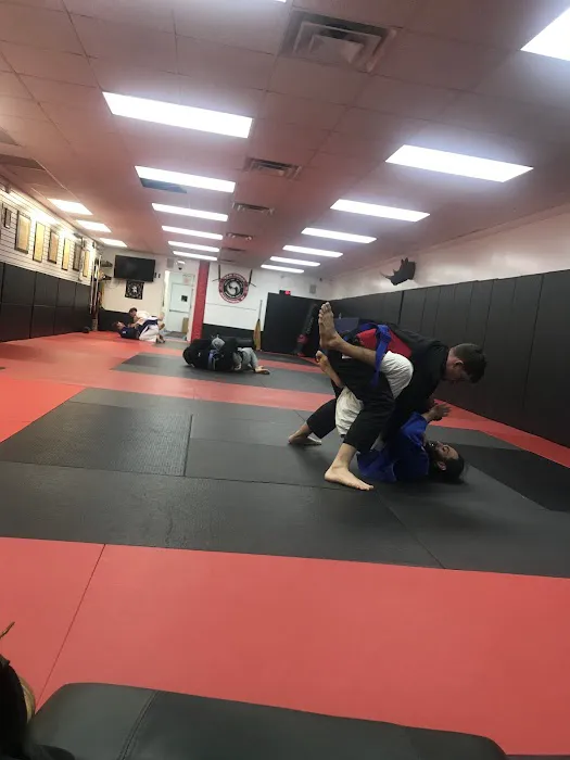 Team Combat Judo Picture 7