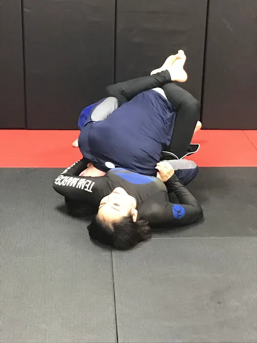 Team Combat Judo Picture 1
