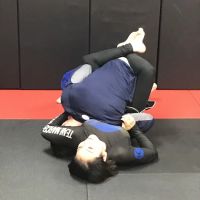Team Combat Judo ico