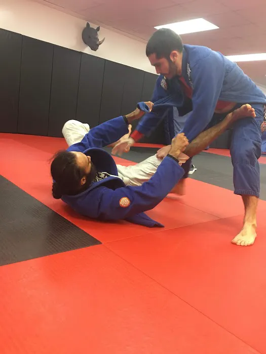 Team Combat Judo Picture 2