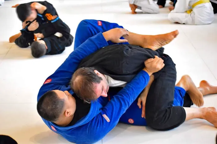 HEVA BJJ Picture 5