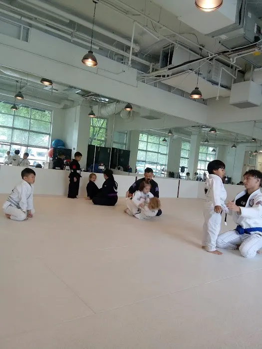HEVA BJJ Picture 2