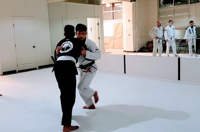 HEVA BJJ Picture 4