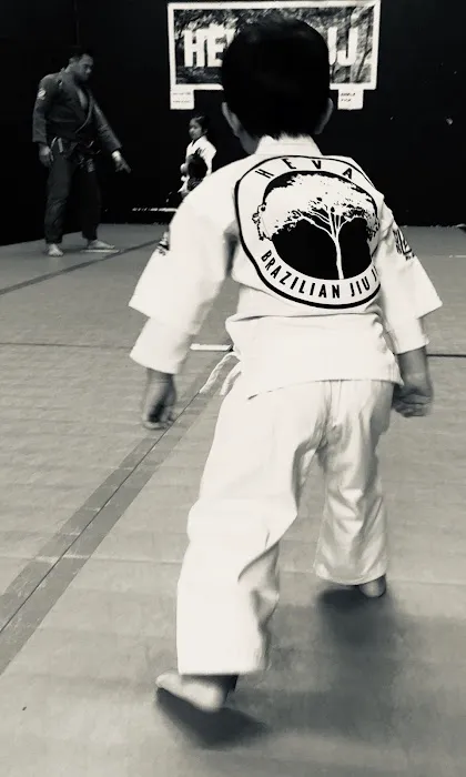 HEVA BJJ Picture 1