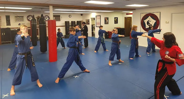 American Kempo Karate Academy Picture 4