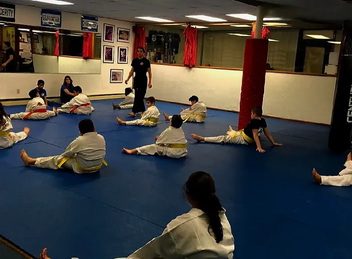 American Kempo Karate Academy Picture 8