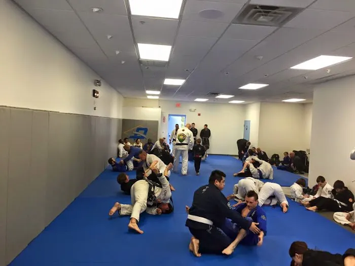 Dedeco Brazilian Jiu-Jitsu Picture 4