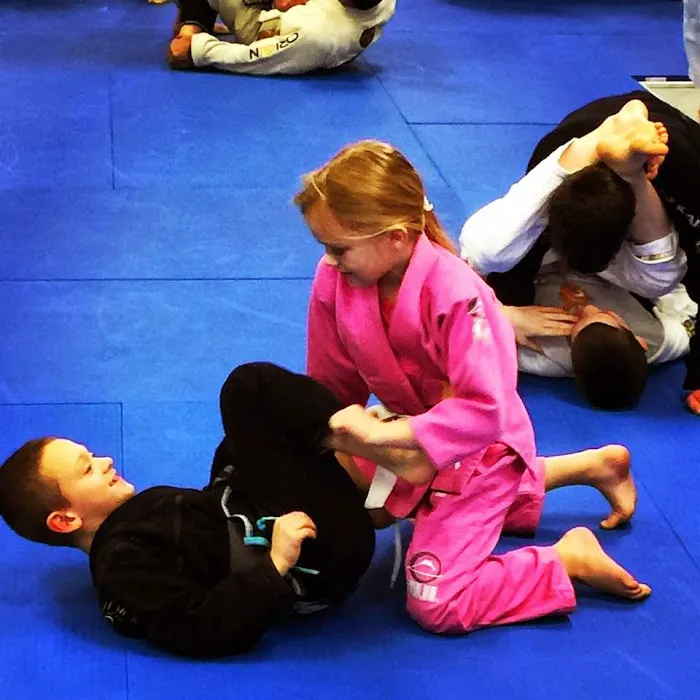 Dedeco Brazilian Jiu-Jitsu Picture 8