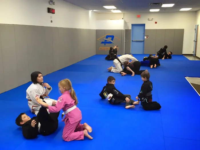 Dedeco Brazilian Jiu-Jitsu Picture 10