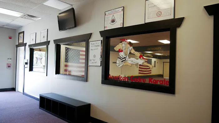 American Cadre Karate Picture 7