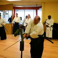 Japanese Swordsmanship of Gwinnett ico