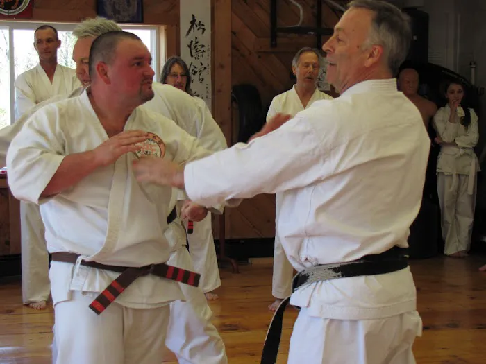 New England Martial Arts Dojo Picture 9