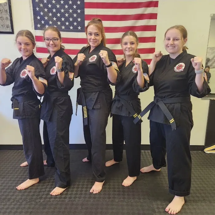 USA Karate Picture 3