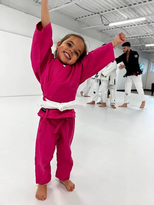 Playground Jiu Jitsu Picture 4