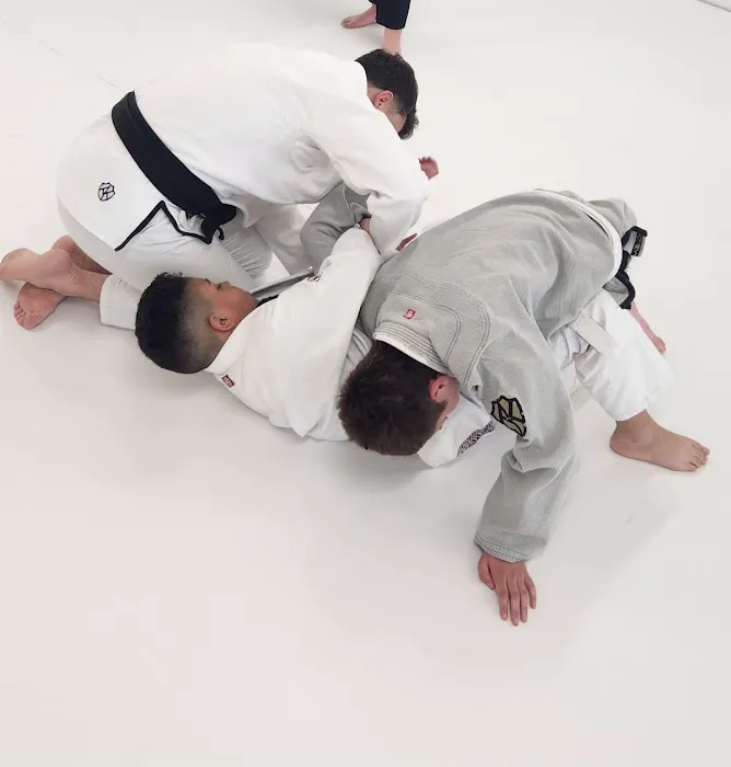 Playground Jiu Jitsu Picture 8