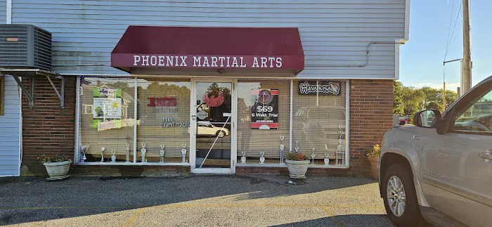 Phoenix Kenpo Martial Arts Picture 2