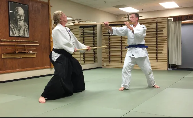 Aikido Of Bristol County Headquarters - Tenshin Aikido Picture 10